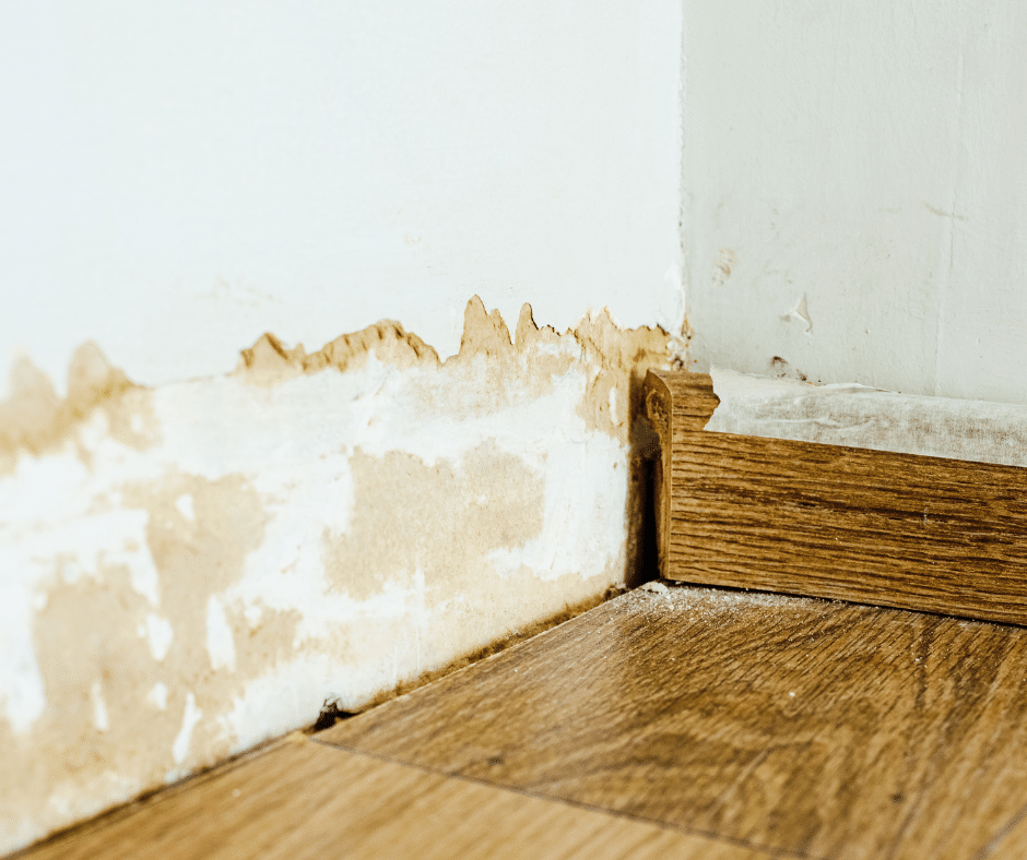 Signs of water damage include signs of leaks behind the wall